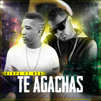 Thumbnail for the El Blopa - Te Agachas link, provided by host site
