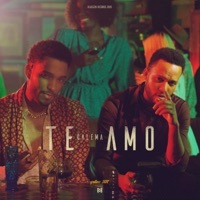 Thumbnail for the Calema - Te Amo link, provided by host site