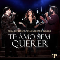 Thumbnail for the Paula Fernandes - Te Amo Sem Querer (Ao Vivo Em Sete Lagoas, Brazil / 2019) link, provided by host site