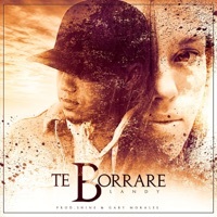 Thumbnail for the Landy - Te Borraré link, provided by host site