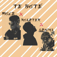 Thumbnail for the Mole - Te Boté link, provided by host site