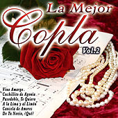 Thumbnail for the Manolo Escobar - Te Canto Con Mis Guitarras link, provided by host site