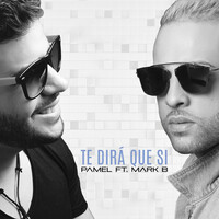 Thumbnail for the Pamel - Te Dirá Que Si link, provided by host site