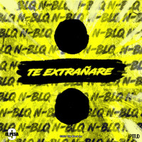 Thumbnail for the Nestor En Bloque - Te Extrañaré link, provided by host site