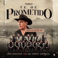 Thumbnail for the Juan Rodriguez - Te He Prometido link, provided by host site