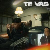 Thumbnail for the Nickzzy - Te Vas link, provided by host site