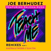 Thumbnail for the Joe Bermudez - Teach Me [Slim Tim Remix] link, provided by host site
