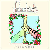 Thumbnail for the Futurebirds - Teamwork link, provided by host site