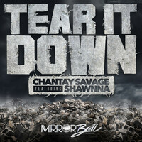 Thumbnail for the Chantay Savage - Tear It Down link, provided by host site