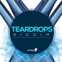 Thumbnail for the Precision Productions - Teardrops Riddim link, provided by host site