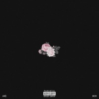 Image of RO$ETTA linking to their artist page due to link from them being at the top of the main table on this page