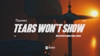 Thumbnail for the Flawes - Tears Won't Show link, provided by host site