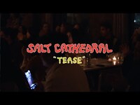 Thumbnail for the Salt Cathedral - Tease | The Wild Honey Pie Dinner Party link, provided by host site