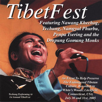 Thumbnail for the Techung - Techung - Damyen Solo link, provided by host site