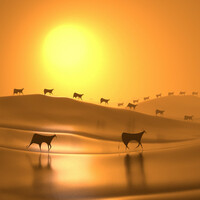 Thumbnail for the Village Of The Sun - TED link, provided by host site