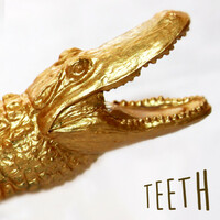 Thumbnail for the Swoon - Teeth link, provided by host site