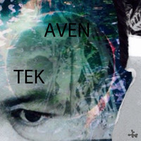 Thumbnail for the Aven - Tek link, provided by host site