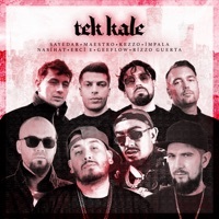 Thumbnail for the Sayedar - Tek Kale link, provided by host site