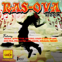 Thumbnail for the Sizzla - Tek Out the Gal Dem Remix link, provided by host site