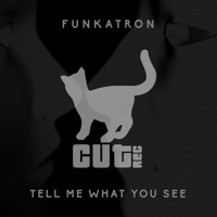 Thumbnail for the Funkatron - Tell Me What You See link, provided by host site