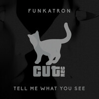 Thumbnail for the Funkatron - Tell Me What You See link, provided by host site