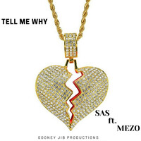 Thumbnail for the SAS - Tell Me Why link, provided by host site