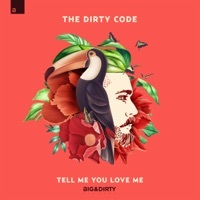 Thumbnail for the The Dirty Code - Tell Me You Love Me link, provided by host site