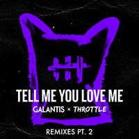 Thumbnail for the Galantis - Tell Me You Love Me (Remixes, Pt. 2) link, provided by host site