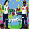 Image of Joe Bertè linking to their artist page due to link from them being at the top of the main table on this page