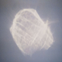 Thumbnail for the Benoît Pioulard - Temper link, provided by host site