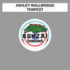 Thumbnail for the Ashley Wallbridge - Tempest link, provided by host site