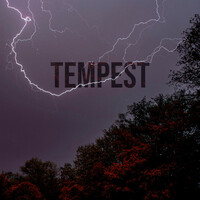 Thumbnail for the Palm - Tempest link, provided by host site