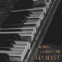 Thumbnail for the Ludwig van Beethoven - Tempest link, provided by host site