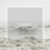 Thumbnail for the IMRSQD - Tempest link, provided by host site