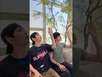 Thumbnail for the Tempest - ˗ˏˋ ꒰ 🐱🐻 ꒱ ˎˊ˗ #TEMPEST #템페스트 #한빈 #HANBIN #LEW link, provided by host site
