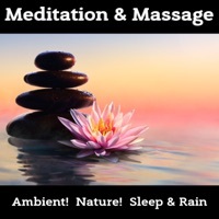 Thumbnail for the Sleep Rain - Temple of Meditation & Massage link, provided by host site