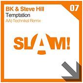 Thumbnail for the BK - Temptation (Technikal Remix) link, provided by host site