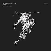 Image of Bjoern Torwellen linking to their artist page due to link from them being at the top of the main table on this page