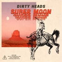 Thumbnail for the Dirty Heads - Tender Boy link, provided by host site