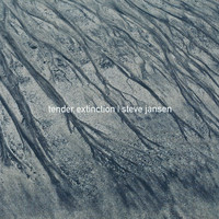 Thumbnail for the Steve Jansen - Tender Extinction link, provided by host site