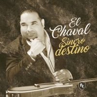 Thumbnail for the El Chaval de la Bachata - Tengo link, provided by host site