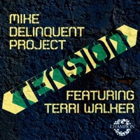 Thumbnail for the Mike Delinquent Project - Tension link, provided by host site