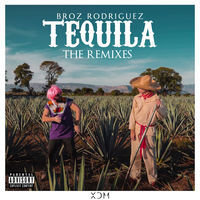 Thumbnail for the Broz Rodriguez - Tequila the Remixes link, provided by host site