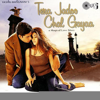 Thumbnail for the Ismail Darbar - Tera Jadoo Chal Gayaa (Original Motion Picture Soundtrack) link, provided by host site