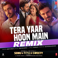 Thumbnail for the Arijit Singh - Tera Yaar Hoon Main - Remix link, provided by host site