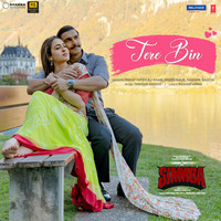 Thumbnail for the Rahat Fateh Ali Khan - Tere Bin (From "Simmba") link, provided by host site