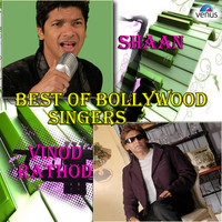Thumbnail for the Alka Yagnik - Tere Bina Dil link, provided by host site