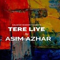 Thumbnail for the Asim Azhar - Tere Liye link, provided by host site