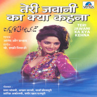Thumbnail for the Anand - Teri Jawani Ka Kya Kehna link, provided by host site
