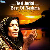 Thumbnail for the Reshma - Teri Judai - Best of Reshma link, provided by host site